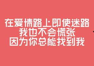 娱乐吃瓜文案图片带字